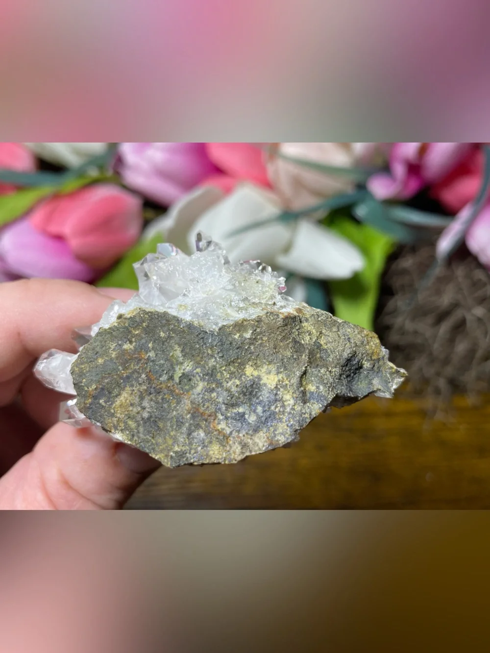 N/A gorgeous lemurian